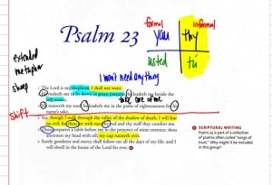 psalm23